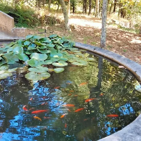 Quinta Do Cerrado - Douro, Conforto Em Casa Rural Villa