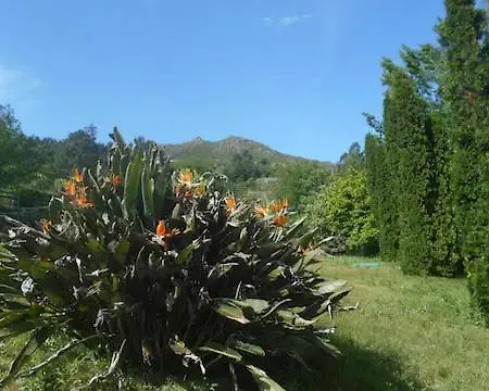Quinta Do Cerrado - Douro, Conforto Em Casa Rural Villa