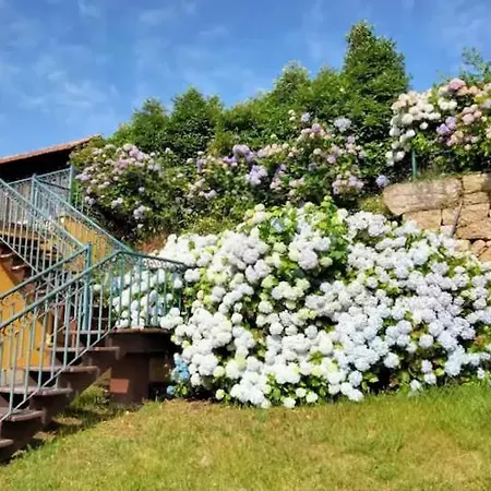 Villa Quinta Do Cerrado - Douro, Conforto Em Casa Rural *